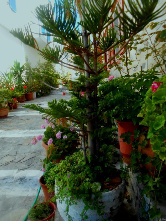 Angeliki Pension Κατάπολα Εξωτερικό φωτογραφία